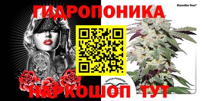 амф Гусиноозёрск